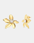 Brinco Flor do Éden Banhado a Ouro