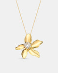 Colar Flor Do Éden Banhado a Ouro